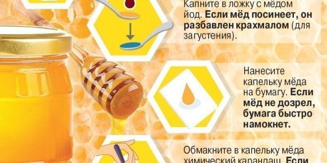 Мед