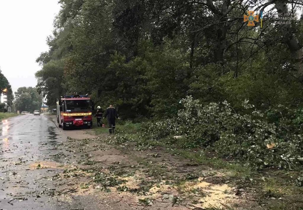 Працівники ДСНС розпиляли й прибрали дерево з дороги у Малій Кохнівці.