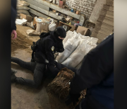 обшук